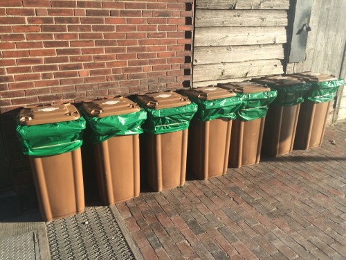 A row of Agricycle food waste totes bins outside a business.