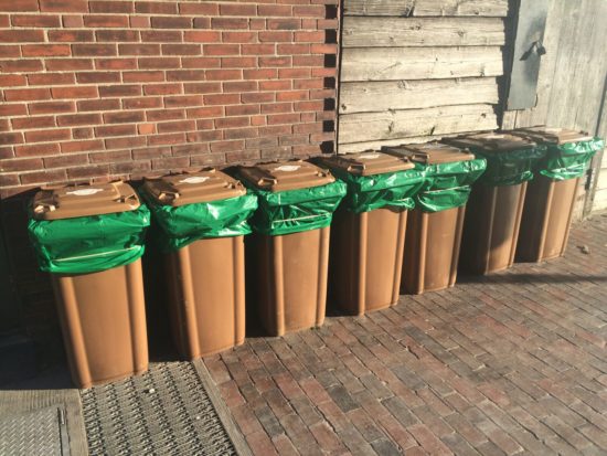 binsinarow A row of Agricycle food waste totes bins outside a business.