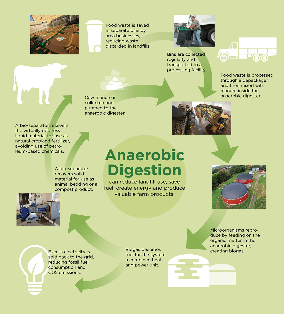 Infographic outlining the anaerobic digestion process and cycle.