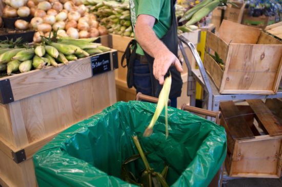 Agri-Cycle Energy Grocer shucks corn into an Agri-Cycle toter bin.