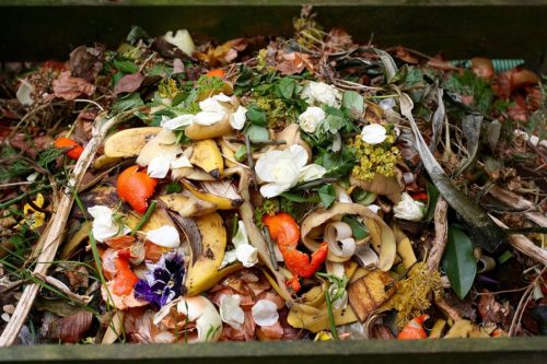 Food waste and food scraps in a dumpster.