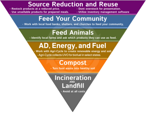 food hierarchy