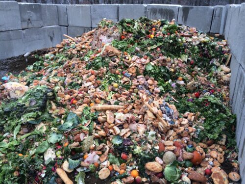 Food waste ready for digestion