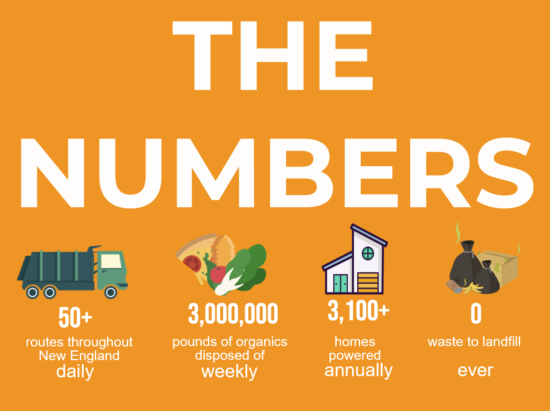 new graphic the numbers