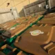 A collection of Agri-Cycle toter bins uses in our food waste collection service.
